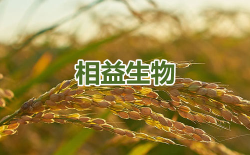山东相益生物科技发展有限公司官网